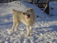 /album/fotogaleria/mix-124-jpg/